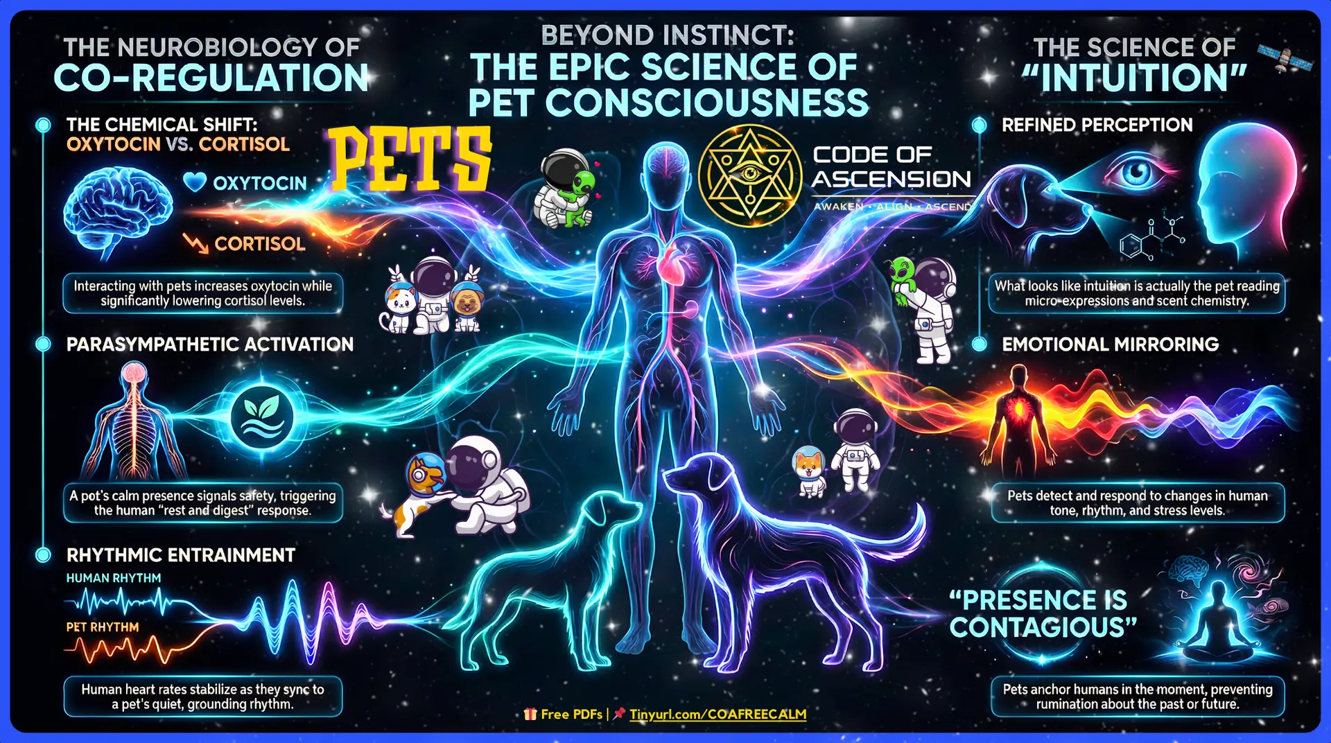 Pet Consciousness: Do Pets Have Higher Awareness and Calm the Nervous System?