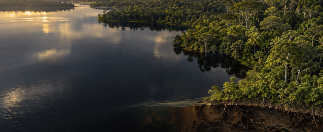 The Congo Peatlands’ Hidden Carbon Vault: Why Ancient Carbon Is Reaching Its Lakes