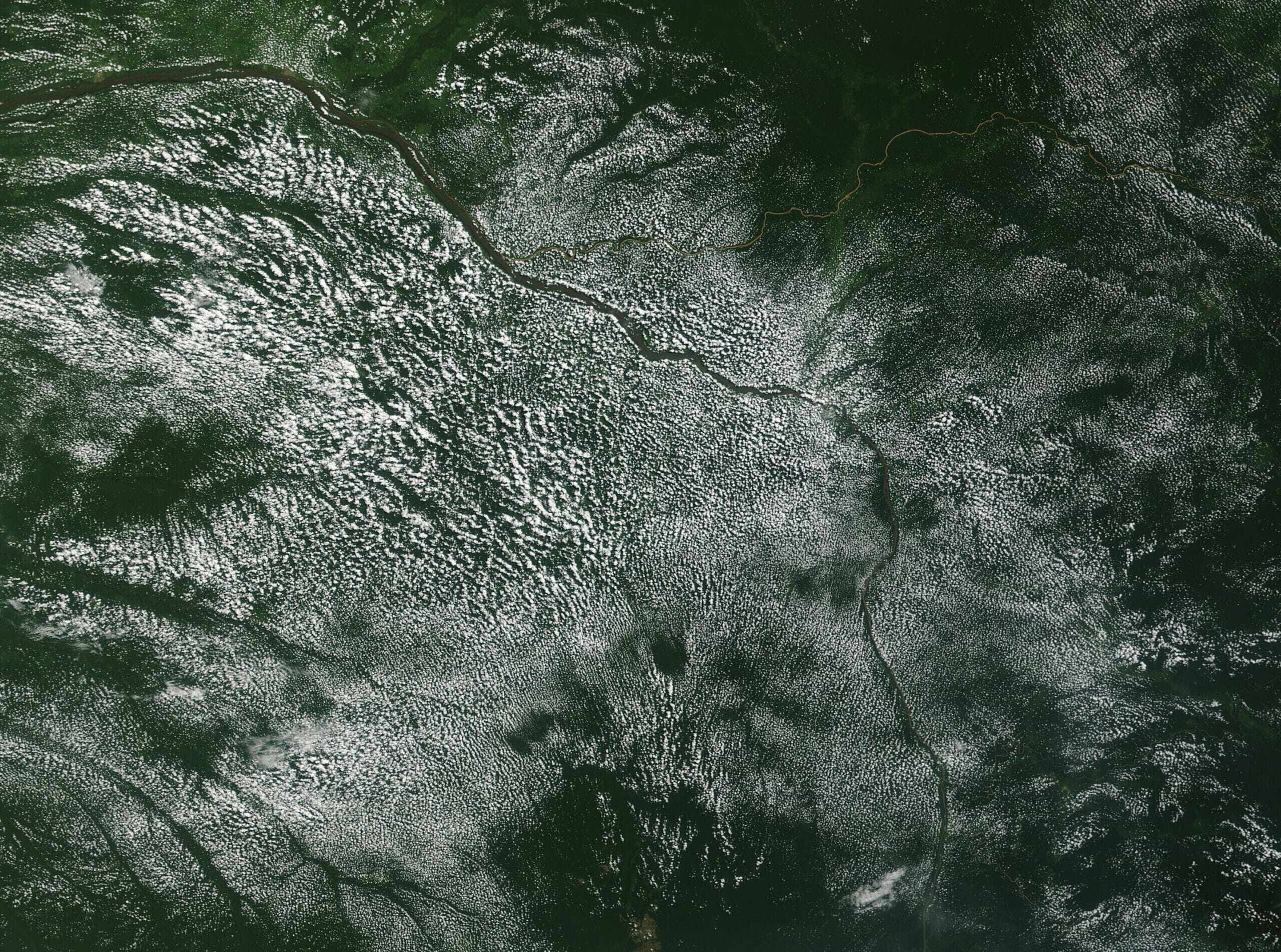 NASA Terra MODIS satellite view of the Congo Basin, showing winding rivers beneath small cloud formations