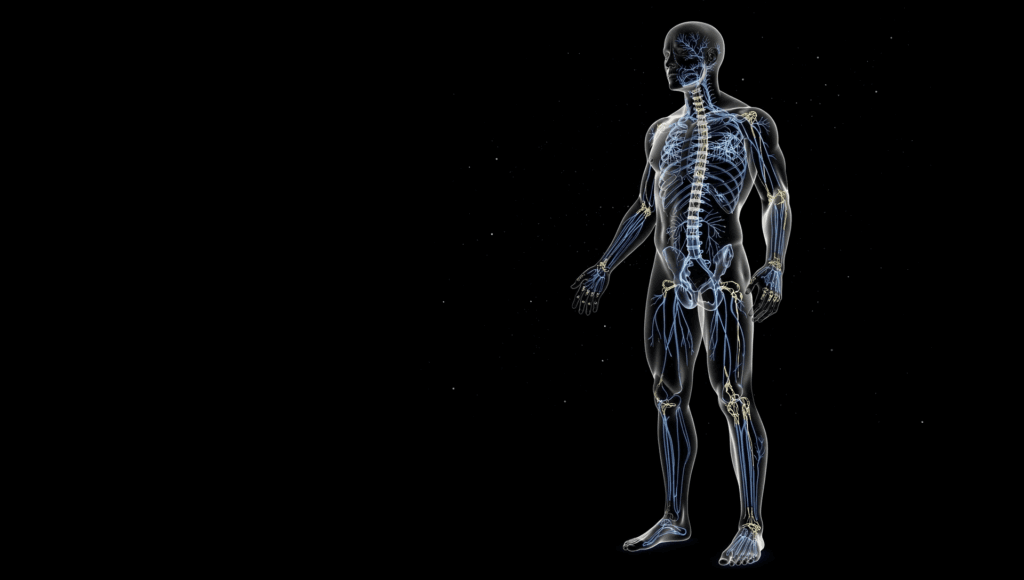 A translucent human figure with a glowing nervous system against a galaxy