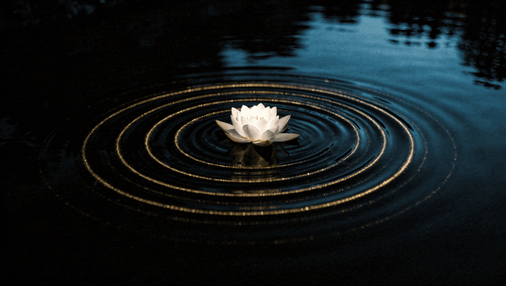 Reincarnation and rebirth: a white lotus on black water with golden rings rippling outward
